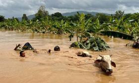 33 người chết vì mưa lũ ở Myanmar 