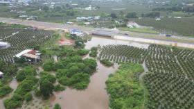 Chủ đầu tư bác thông tin 'thi công đường gây ngập nhà, vườn thanh long' 