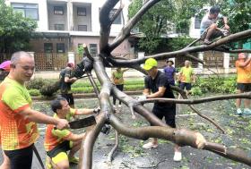 Người Hà Nội, Quảng Ninh, Hải Phòng cùng nhau đi dọn cây sau bão số 3