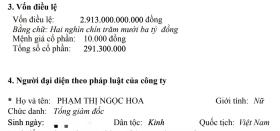 Chủ lâu đài nghìn tỷ ở Ninh Bình có động thái chú ý ở Tập đoàn Thành Thắng