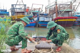 Mưa lũ chia cắt nhiều nơi, Quảng Trị lên kịch bản sơ tán hàng ngàn hộ dân