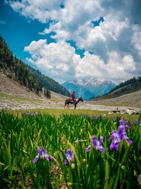 Khách Việt 14 ngày lái mô tô khám phá thiên nhiên siêu thực ở Ladakh Ấn Độ  第5张