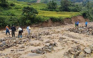 Lào Cai: Hỗ trợ hạt giống rau cho hội viên, nông dân vùng bị thiệt hại do mưa lũ  第6张