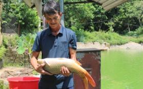 Lào Cai: Hỗ trợ hạt giống rau cho hội viên, nông dân vùng bị thiệt hại do mưa lũ  第5张