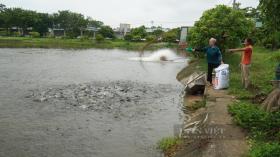 Nông dân Bắc Ninh vươn lên thành nông xuất sắc từ nguồn vốn Quỹ HTND của Hội  第1张