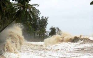 Tỷ phú cá giống ở Hải Dương thiệt hại hơn 40 tỷ do bão lũ có phương án phục hồi sản xuất thế nào?  第8张