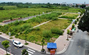 Thứ trưởng Bộ TN-MT Lê Minh Ngân: &quot;Trúng đấu giá tăng cao so với khởi điểm là đúng thực tế&quot;  第4张