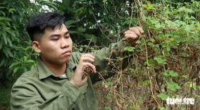 Mẹ đơn thân đau ốm nợ nần, con trai đậu Trường đại học Bách khoa Hà Nội