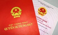  Nữ đại gia bất động sản nổi tiếng Đà Nẵng lĩnh án tù chung thân 