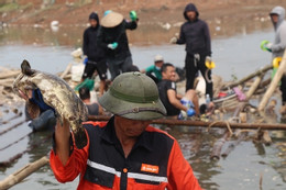 Nghìn tỷ mất trắng: Bắt buộc mua bảo hiểm nông nghiệp khi vay vốn ngân hàng