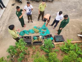  Người đàn ông vận chuyển 17 cá thể động vật quý hiếm ở Côn Đảo bị xử lý thế nào? 第1张