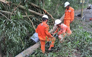 Cà Mau: Hơn 100 hộ dân sống ở thành phố nhưng phải kéo dây dùng nhờ điện  第3张