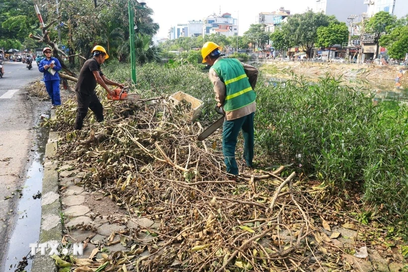  Hà Nội cơ bản giải tỏa cây xanh đổ gãy, đảm bảo giao thông thuận tiện 