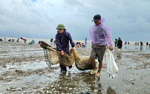 Nghệ An: Xuất hiện nhiều mô hình sản xuất nông nghiệp hiệu quả, điển hình nông dân giỏi ở Nậm Cắn