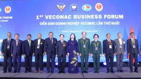  Diễn đàn Doanh nghiệp Cựu Chiến binh các nước Asean thúc đẩy cựu chiến binh phát triển kinh tế 